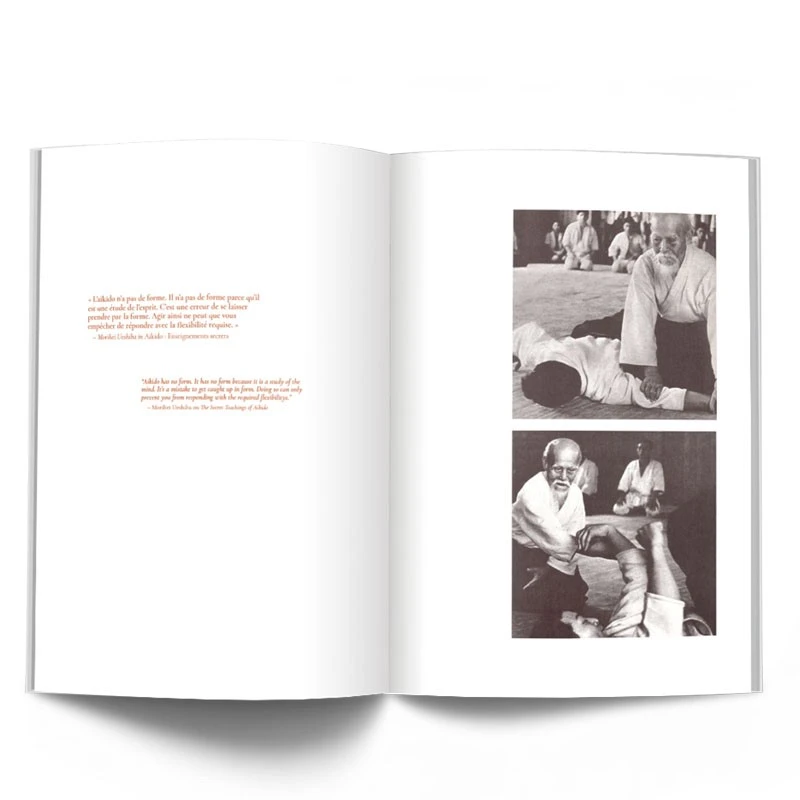 AÏKIDO : Christian Tissier - 4Trainer Editions – Image 12