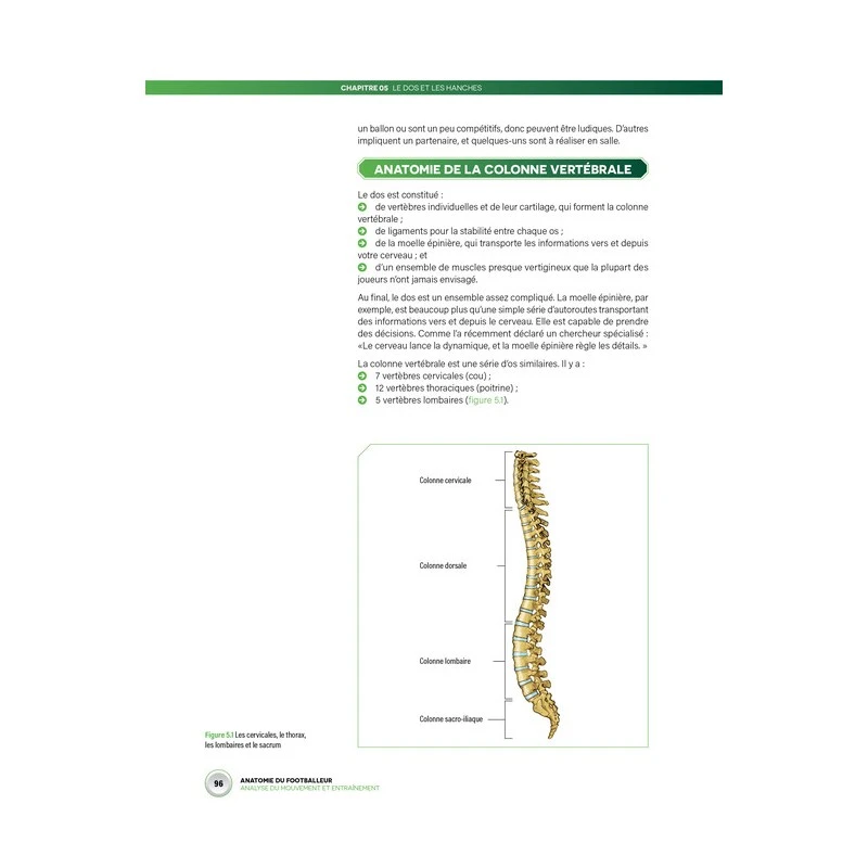 Anatomie Du Footballeur - 4TRAINER Editions – Image 3