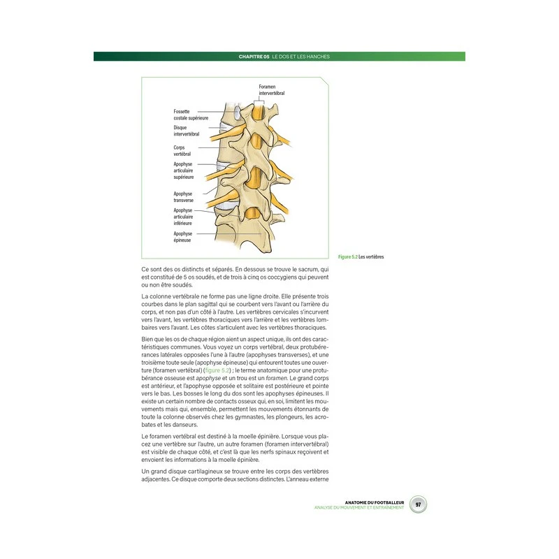 Anatomie Du Footballeur - 4TRAINER Editions – Image 4