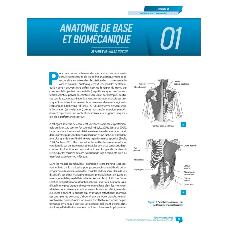 Développer Le Gainage - 4TRAINER Editions