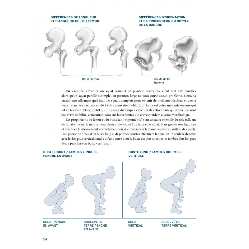 FESSIERS Le Guide Ultime Pour Dessiner Vos Muscles Et Développer Votre Force - 4TRAINER Editions – Image 7