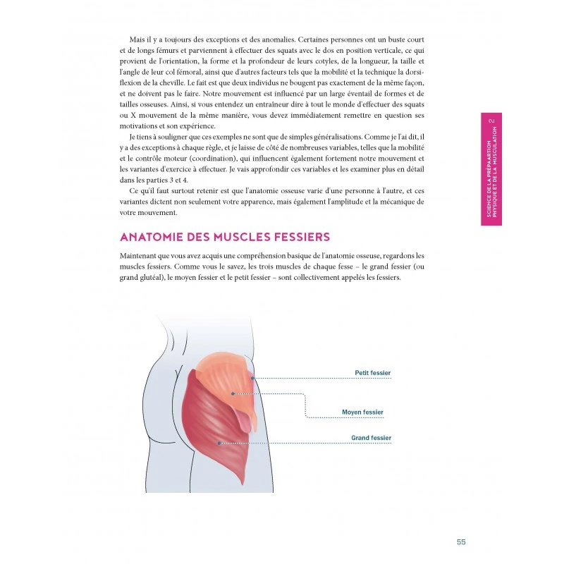 FESSIERS Le Guide Ultime Pour Dessiner Vos Muscles Et Développer Votre Force - 4TRAINER Editions – Image 8