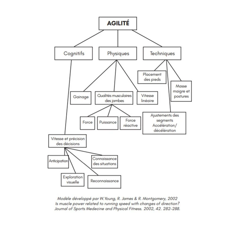 L'agilité Dans Les Sports Collectifs - 4TRAINER Editions – Image 5