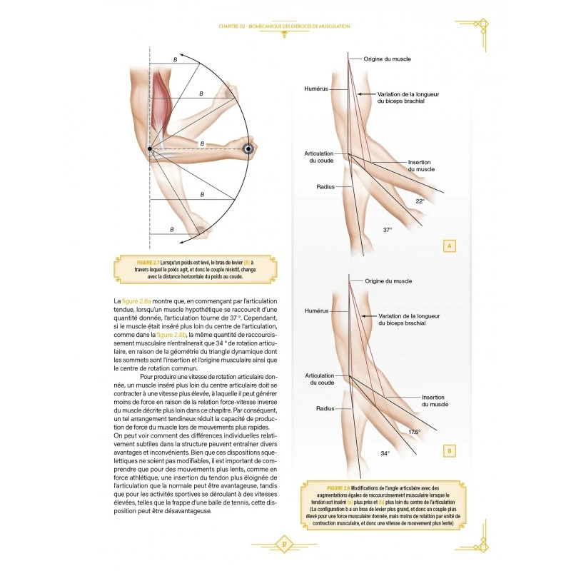 L'Encyclopédie De La Préparation Physique - 4TRAINER Editions – Image 13