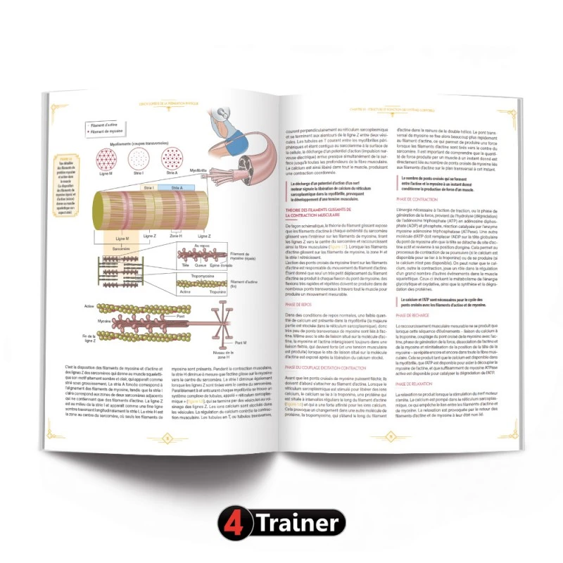 L'Encyclopédie De La Préparation Physique - 4TRAINER Editions – Image 4