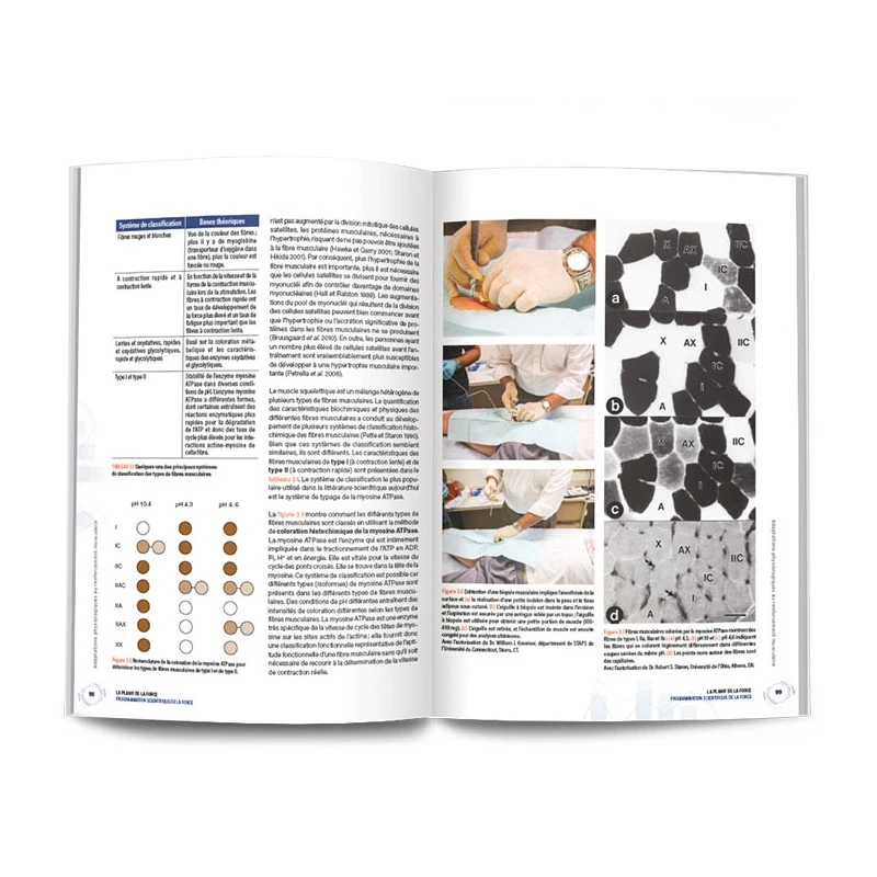 LA PLANIF DE LA FORCE - 4Trainer Editions – Image 9