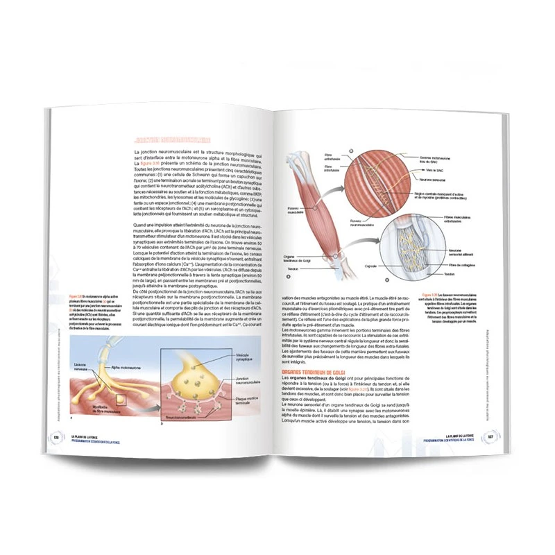 LA PLANIF DE LA FORCE - 4Trainer Editions – Image 10