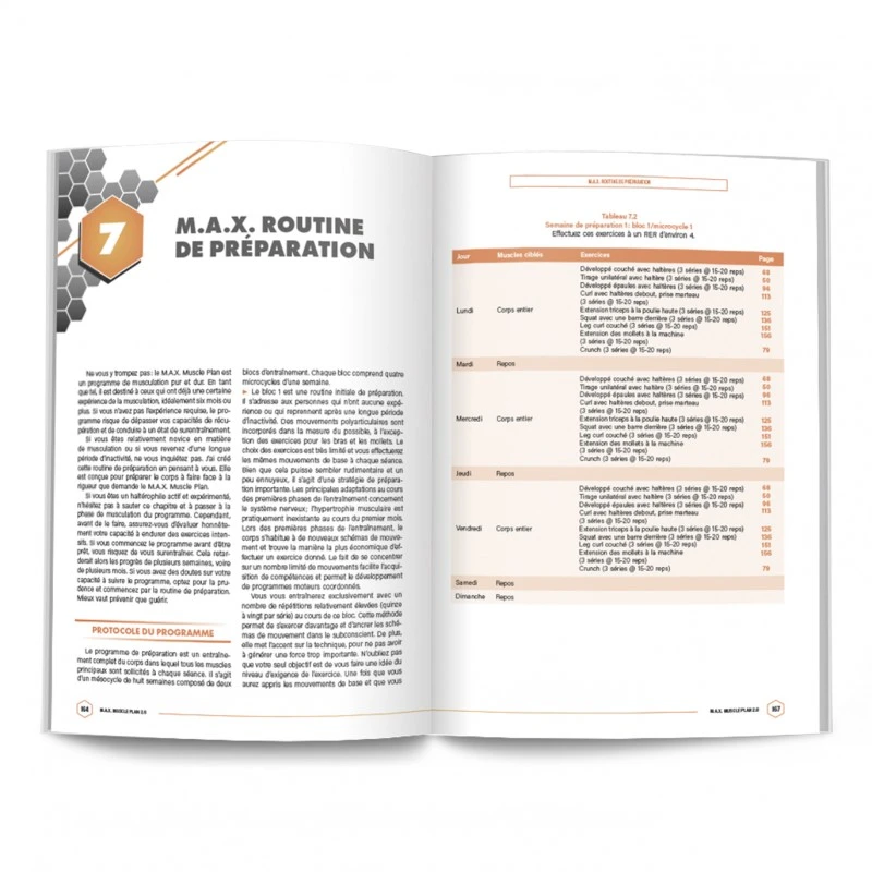 MAX MUSCLE PLAN 2.0 - 4Trainer Editions – Image 9