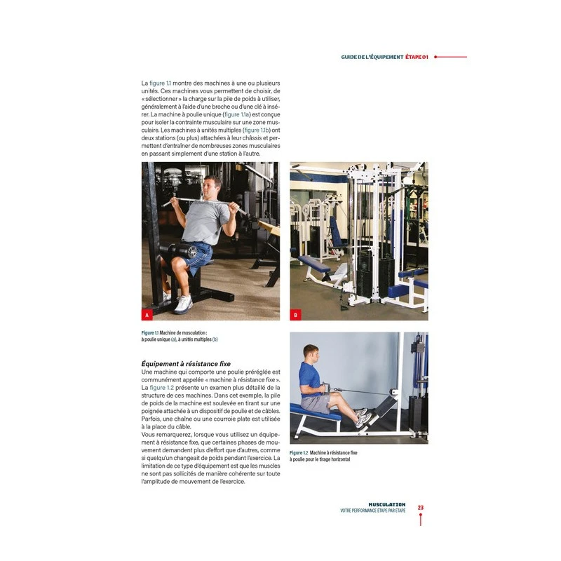 MUSCULATION - Votre Performance Étape Par Étape - 4TRAINER Editions – Image 5