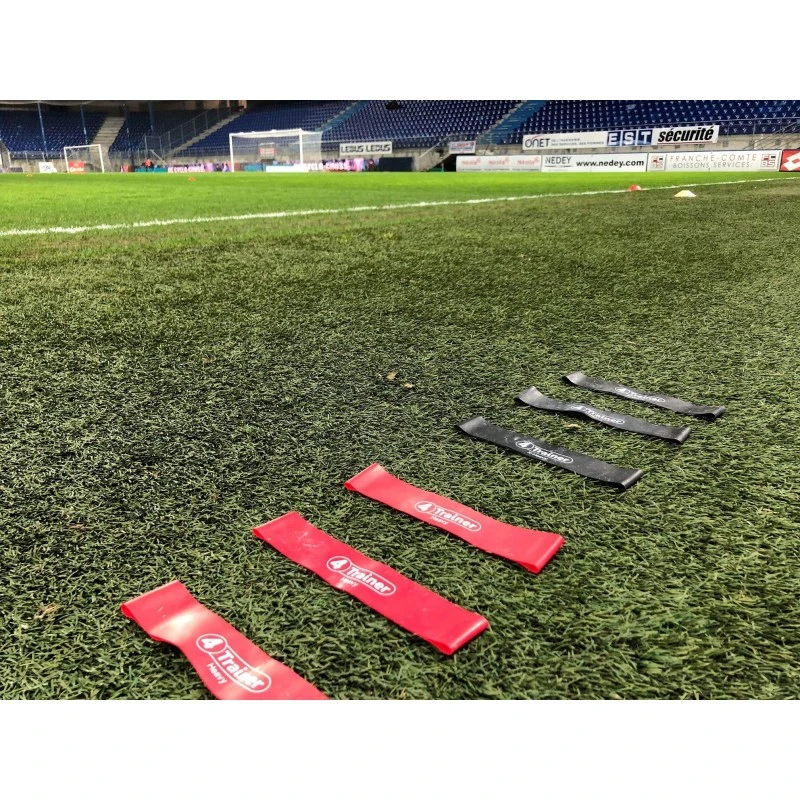 Pack Flat Bands 4Trainer - Mini Bandes élastiques Plates – Image 3