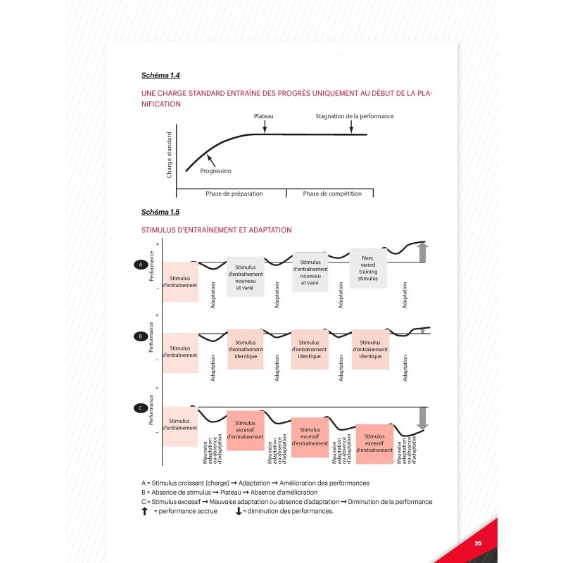 Périodisation : Théorie Et Méthodologie De L'entraînement – Image 3