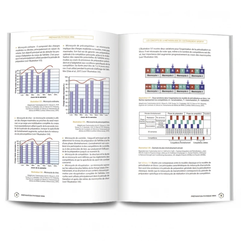 Préparation Physique MMA - 4TRAINER EDITIONS – Image 4