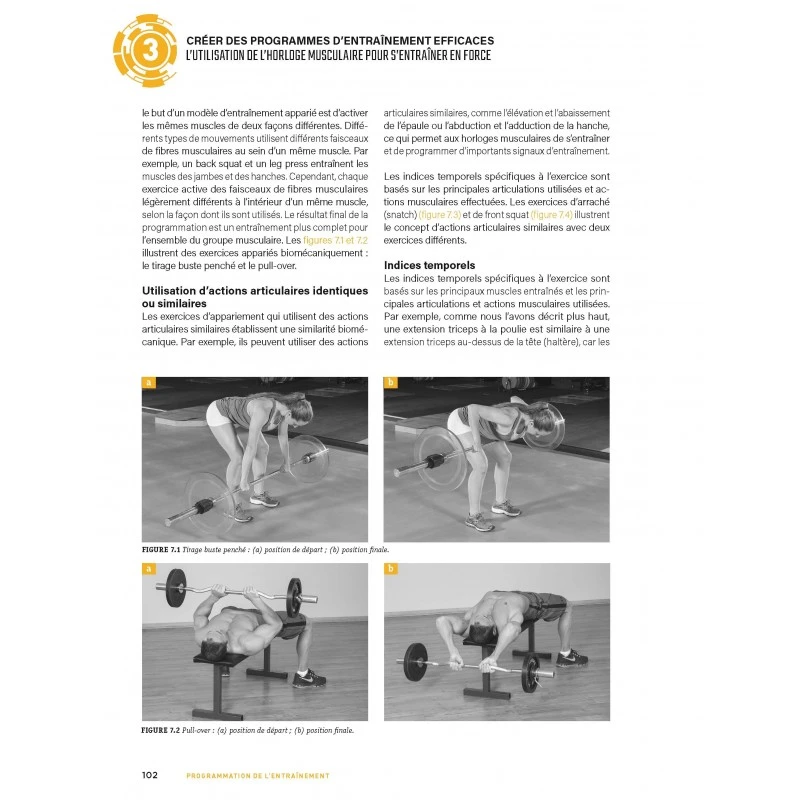 Programmation De L'entraînement