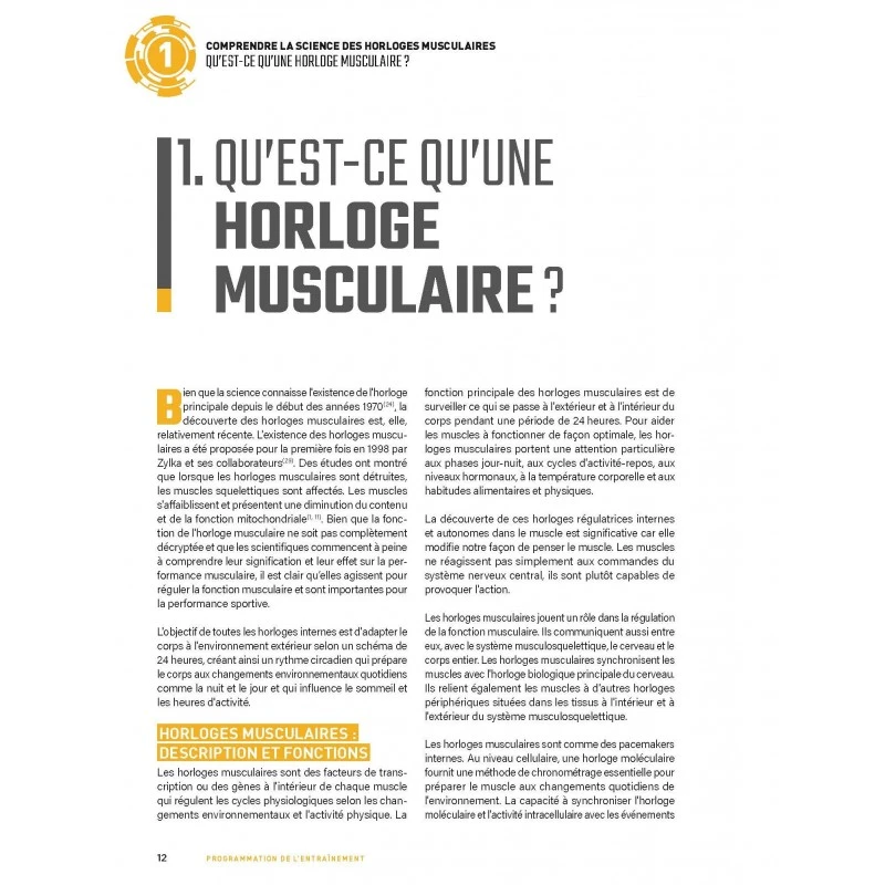 Programmation De L'entraînement – Image 4