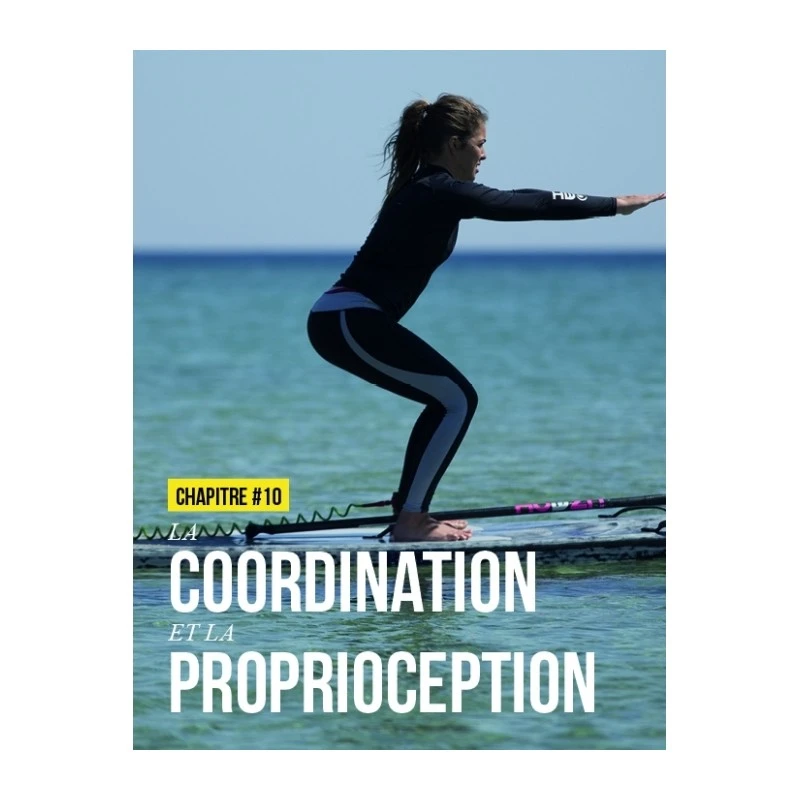 Stand Up Paddle - Entraînement Technique Et Préparation Physique - 4TRAINER Editions – Image 4