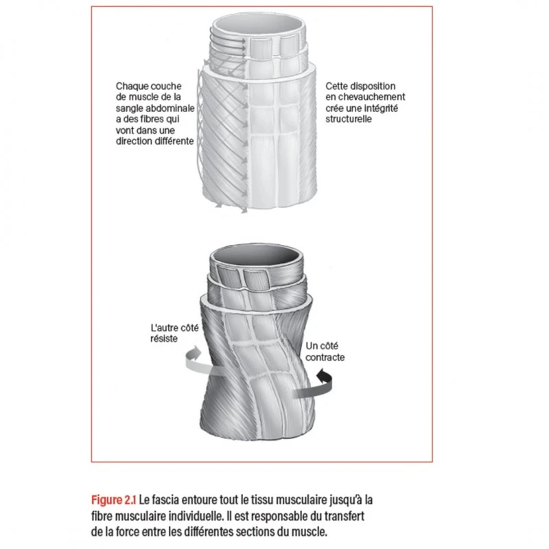 WORKOUT - Pour Un Entraînement Plus Intelligent - 4TRAINER Editions – Image 4