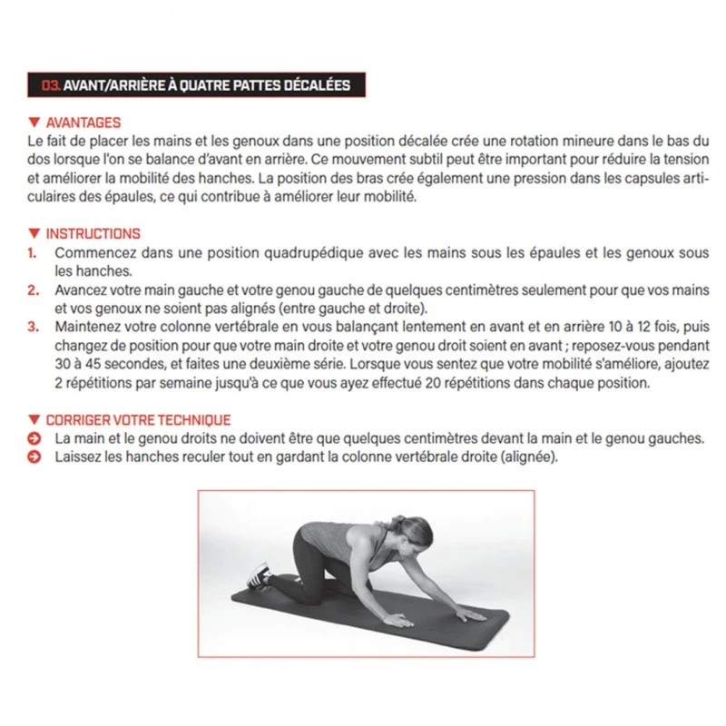 WORKOUT - Pour Un Entraînement Plus Intelligent - 4TRAINER Editions – Image 6