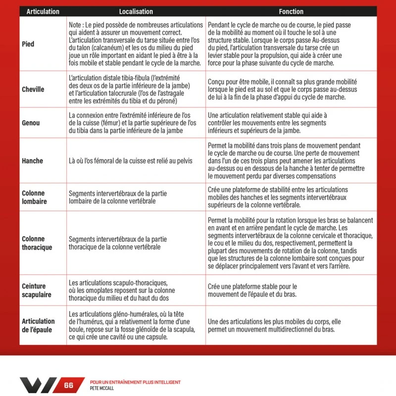 WORKOUT - Pour Un Entraînement Plus Intelligent - 4TRAINER Editions – Image 10